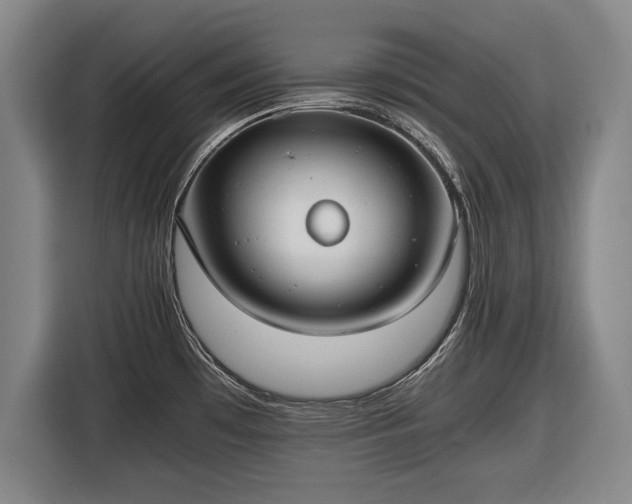 X0000116421481200912150948