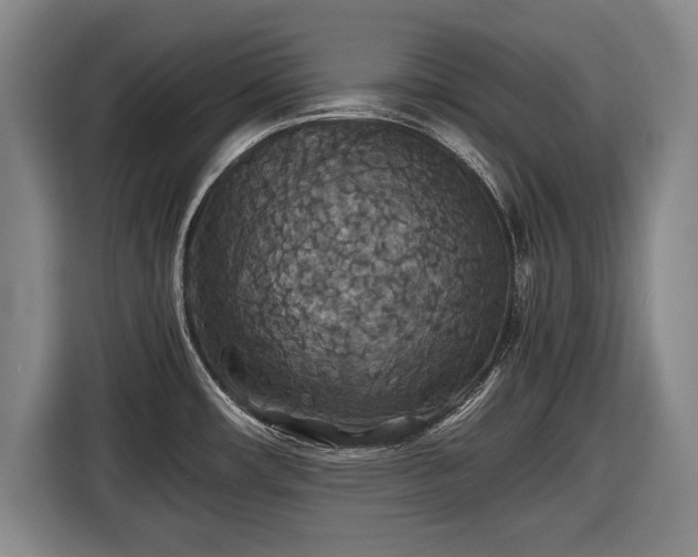 X0000116421482200912150948