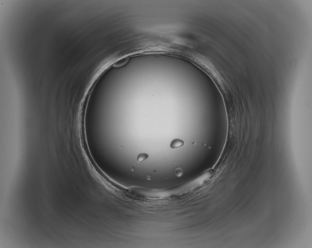 X0000116421483200912150948