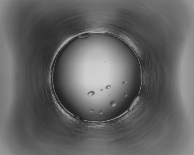 X0000116421484200912150948