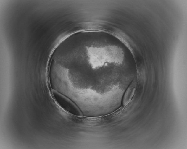 X0000116421485200912150948