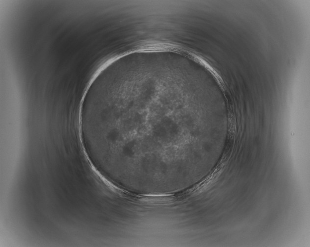 X0000116421487200912150948