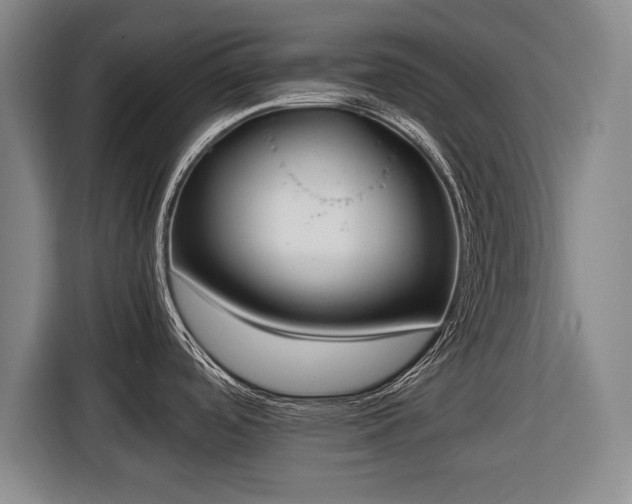 X0000116421488200912150948