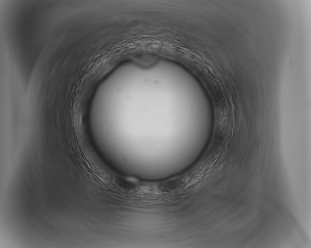 X0000116421489200912150947