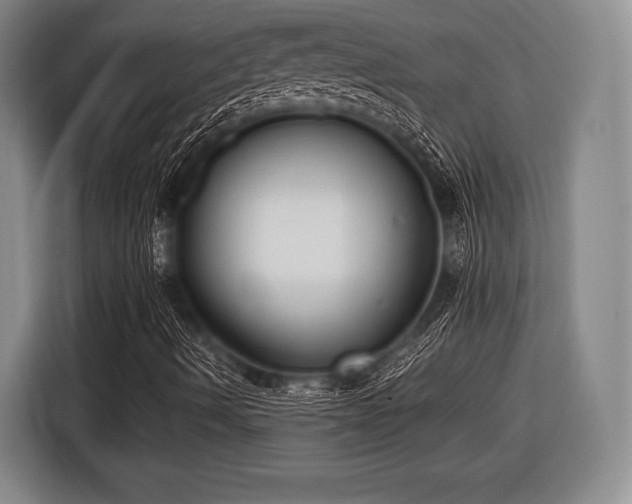 X0000116421490200912150947