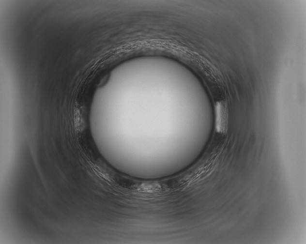 X0000116421491200912150947