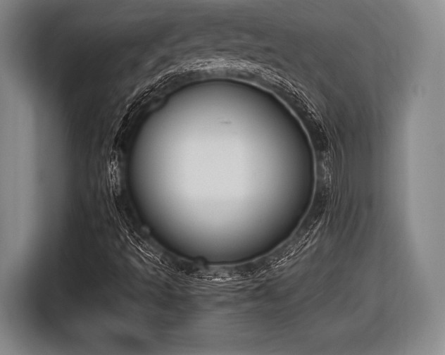 X0000116421493200912150947