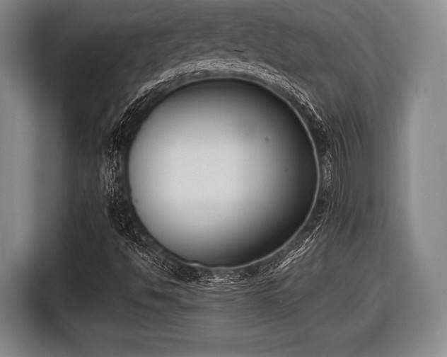 X0000116421494200912150947