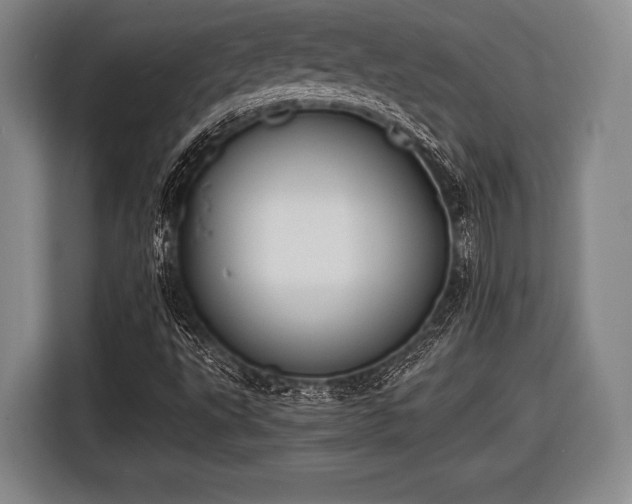 X0000116421495200912150947
