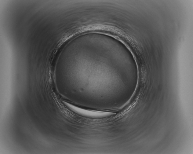 X0000116421497200912150948