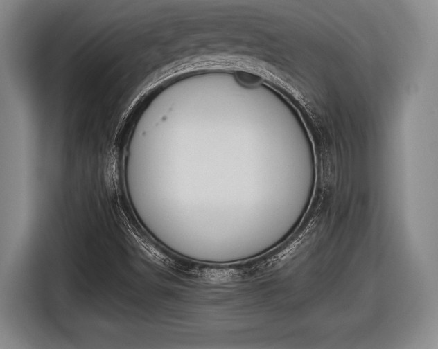 X0000116421498200912150948