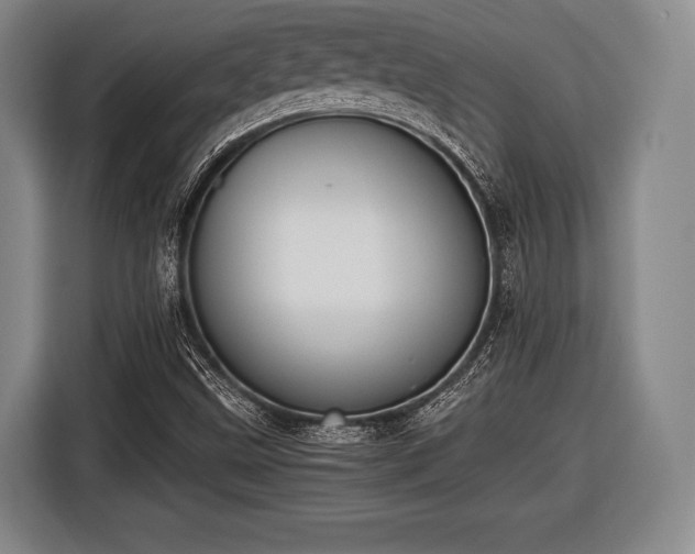 X0000116421499200912150948