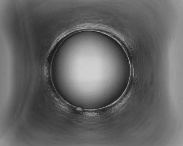 X0000116421501200912150948