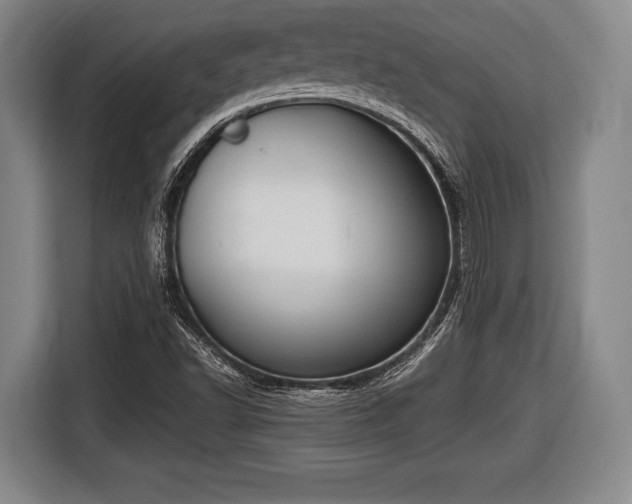 X0000116421502200912150948