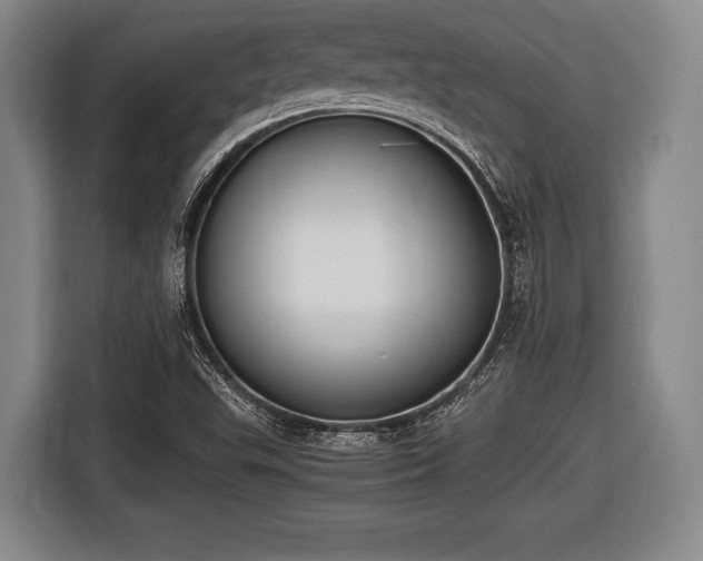 X0000116421503200912150948