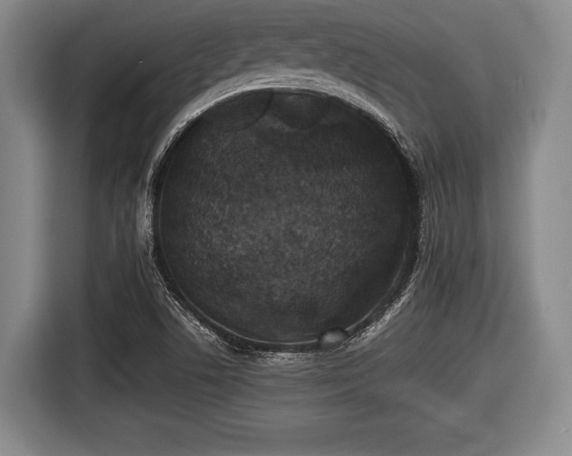 X0000116421506200912150948