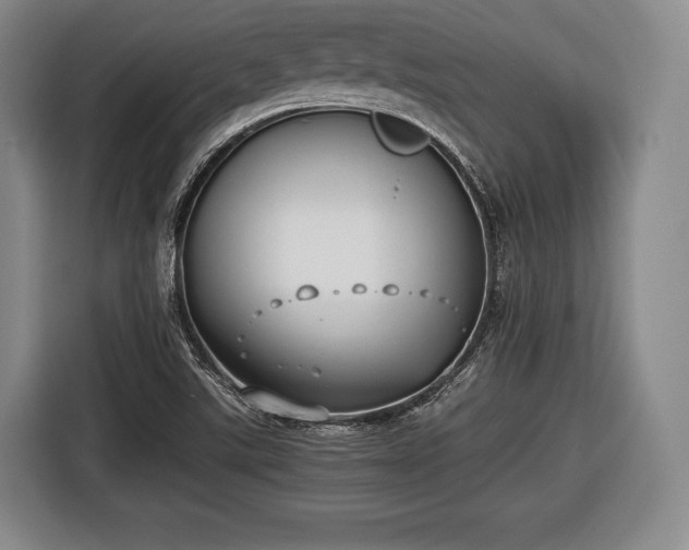 X0000116421507200912150948