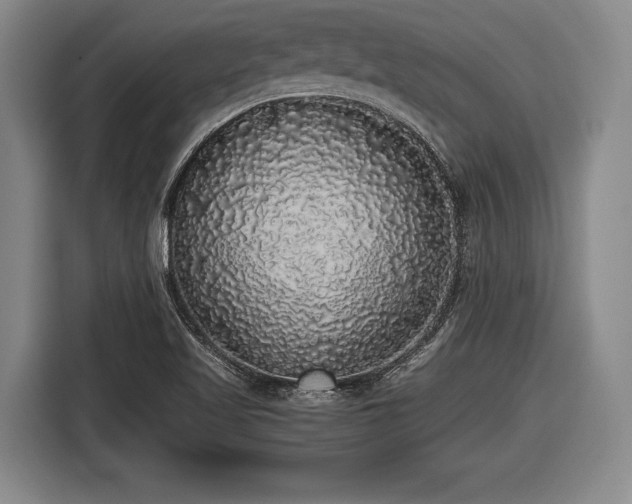 X0000116421509200912150948