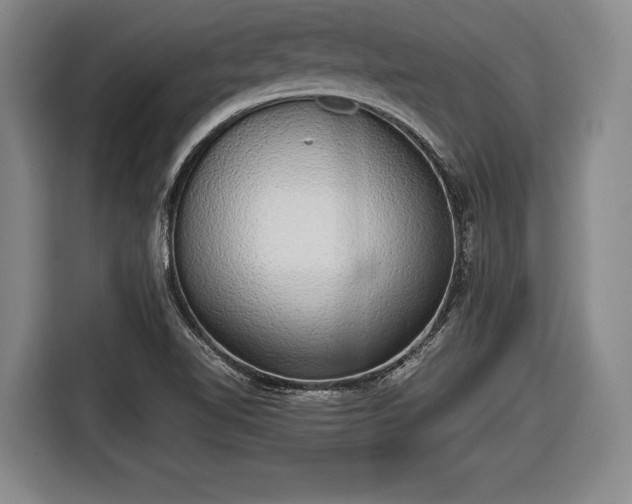 X0000116421510200912150948