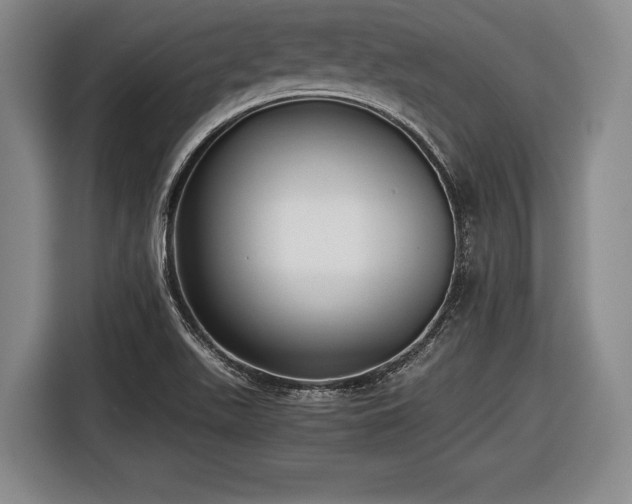 X0000116421511200912150948