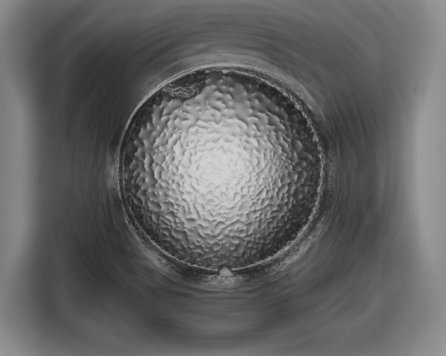 X0000116421513200912150948