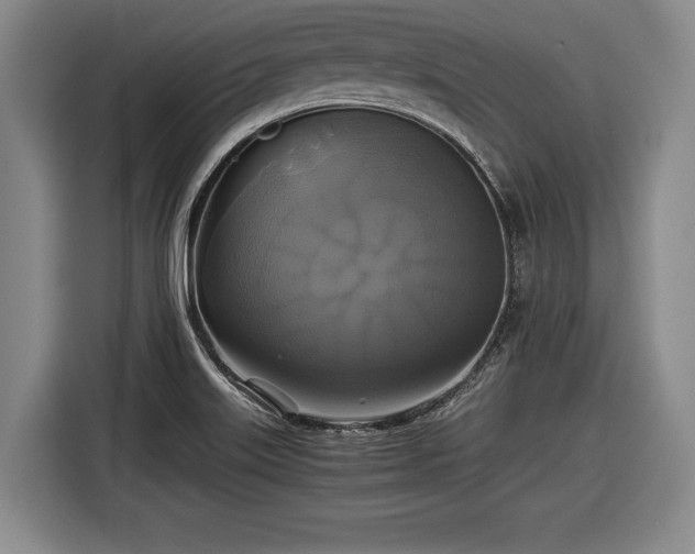 X0000116421515200912150948