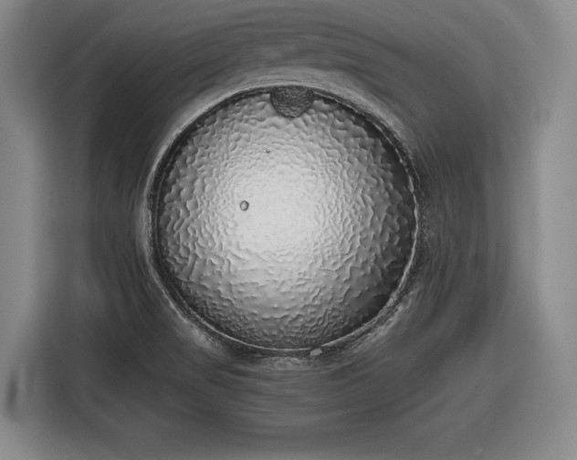 X0000116421517200912150948