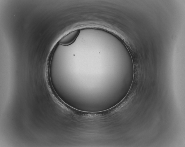 X0000116421518200912150948