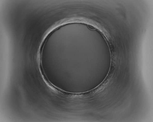 X0000116421519200912150948
