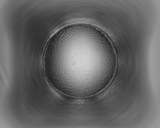X0000116421521200912150948
