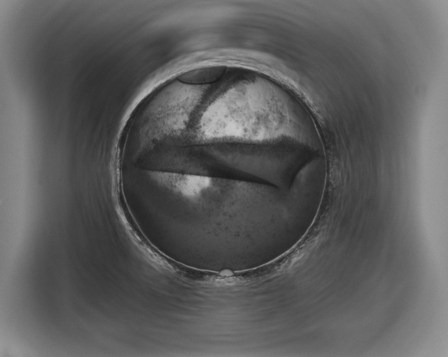 X0000116421522200912150948