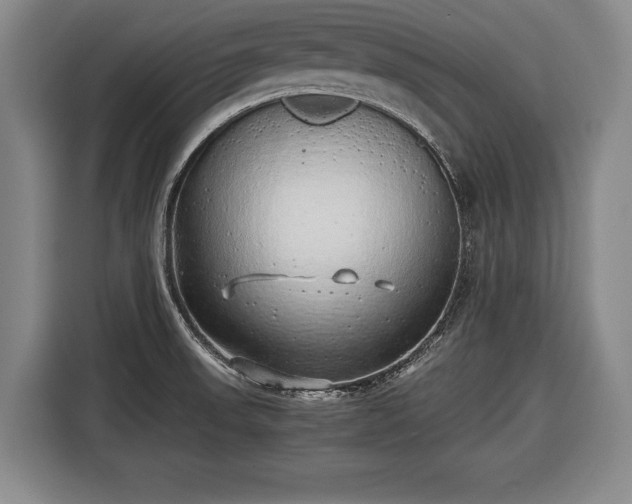 X0000116421523200912150948