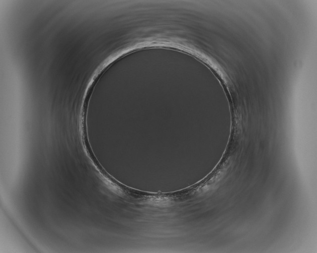 X0000116421525200912150948