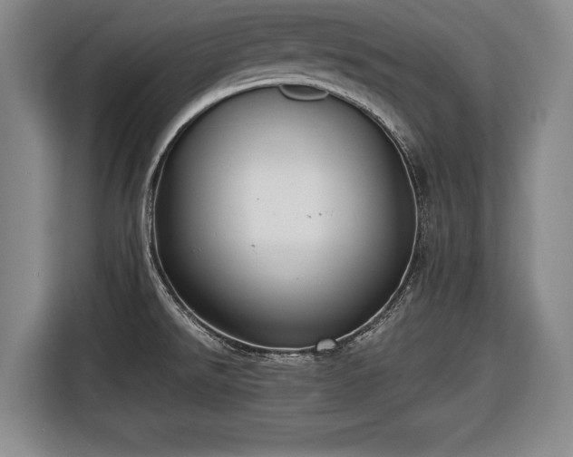X0000116421526200912150948