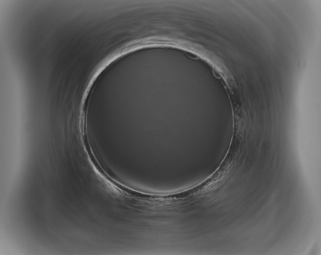 X0000116421527200912150948
