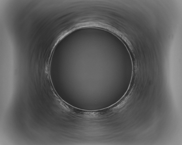 X0000116421529200912150948