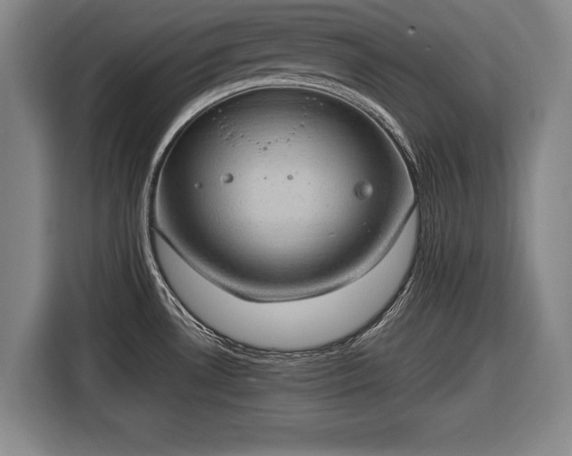 X0000116421530200912150948