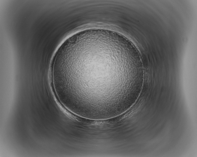 X0000116421531200912150948