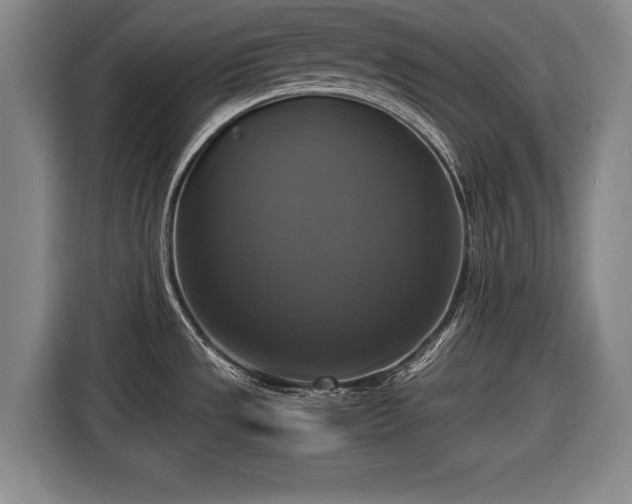 X0000116421533200912150948