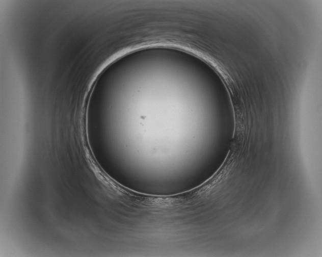 X0000116421534200912150948