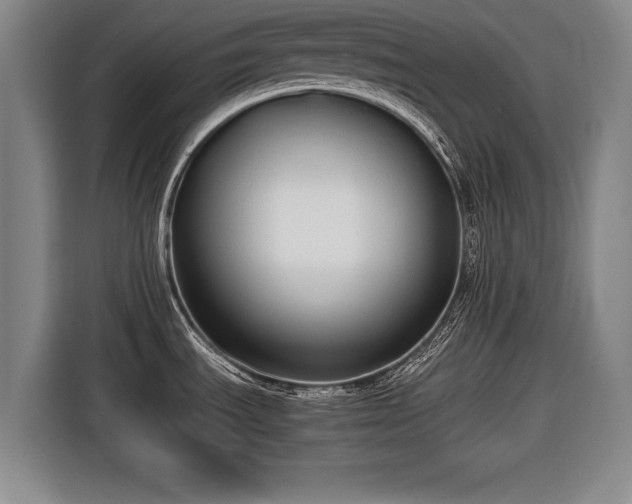 X0000116421535200912150948