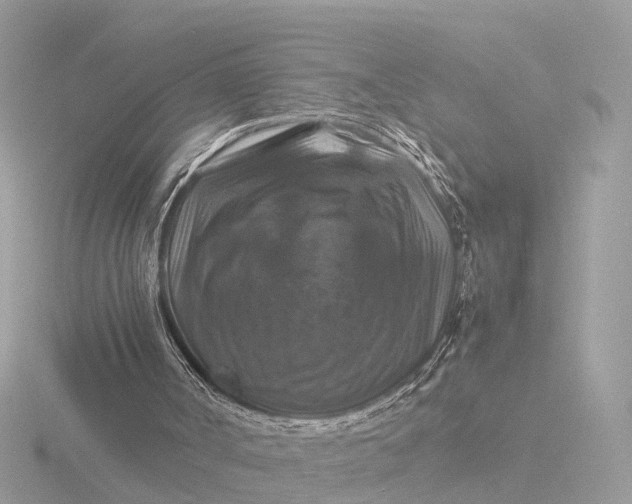 X0000116420002200912221454