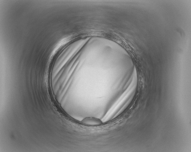 X0000116420006200912221454