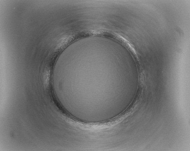 X0000116420018200912221454