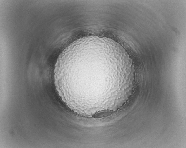 X0000116420034200912221454