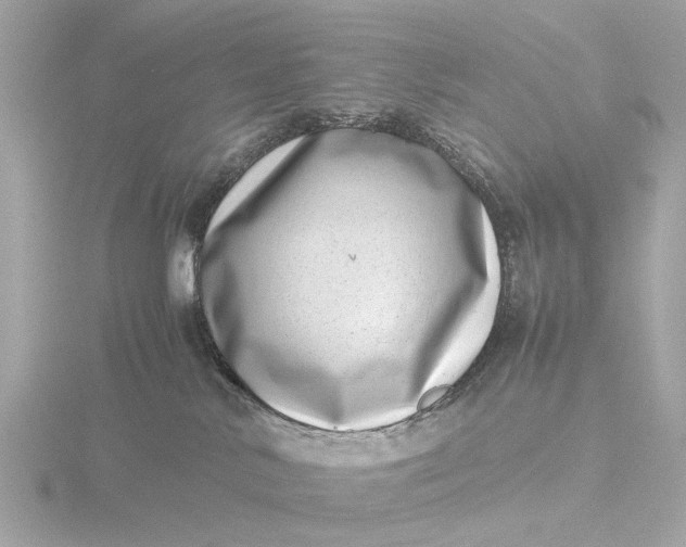 X0000116420042200912221454