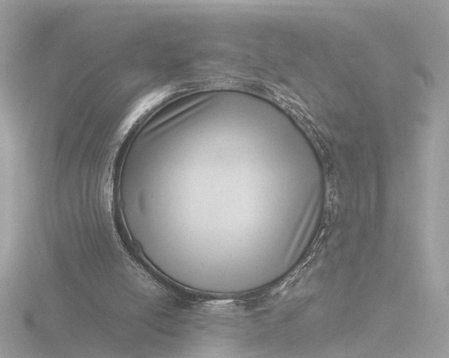 X0000116420054200912221453