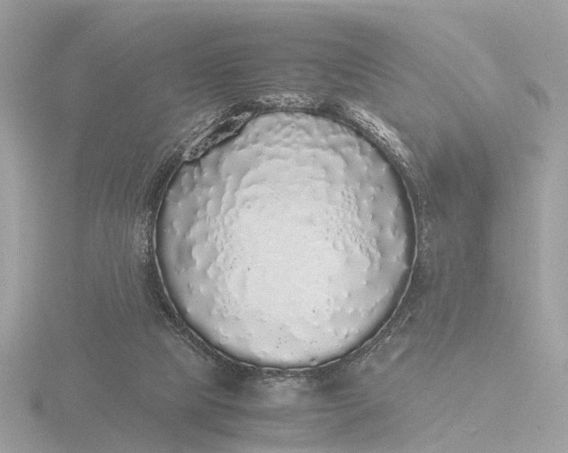 X0000116420065200912221453