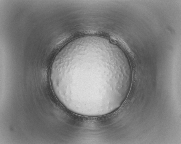 X0000116420066200912221453