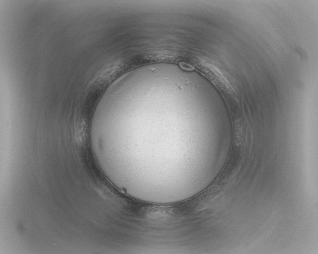 X0000116420077200912221454